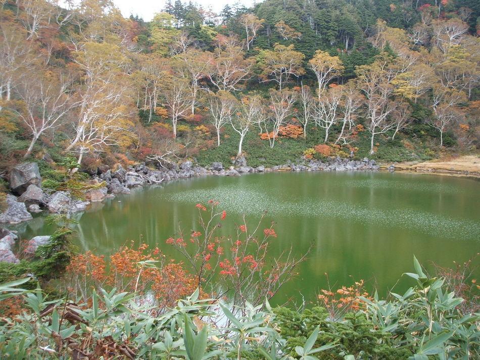 Natural Pension Pumpkin Otari المظهر الخارجي الصورة