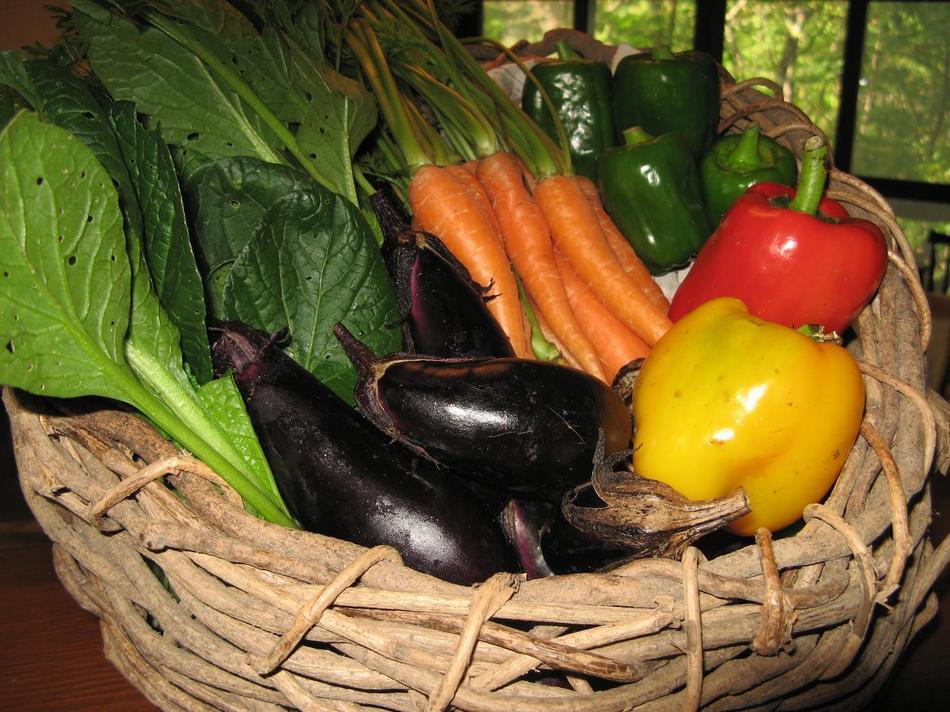 Natural Pension Pumpkin Otari المظهر الخارجي الصورة